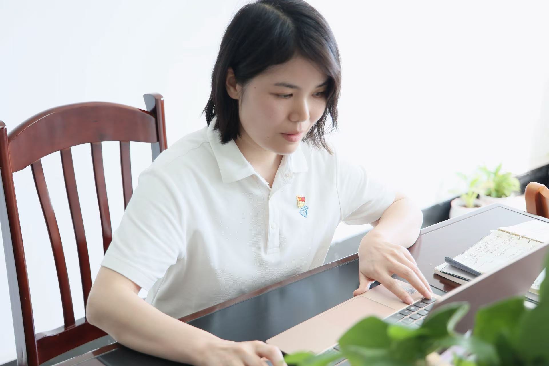 公开信息按发布时间滚动