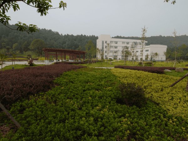 博云新材A股在深交所发行上市