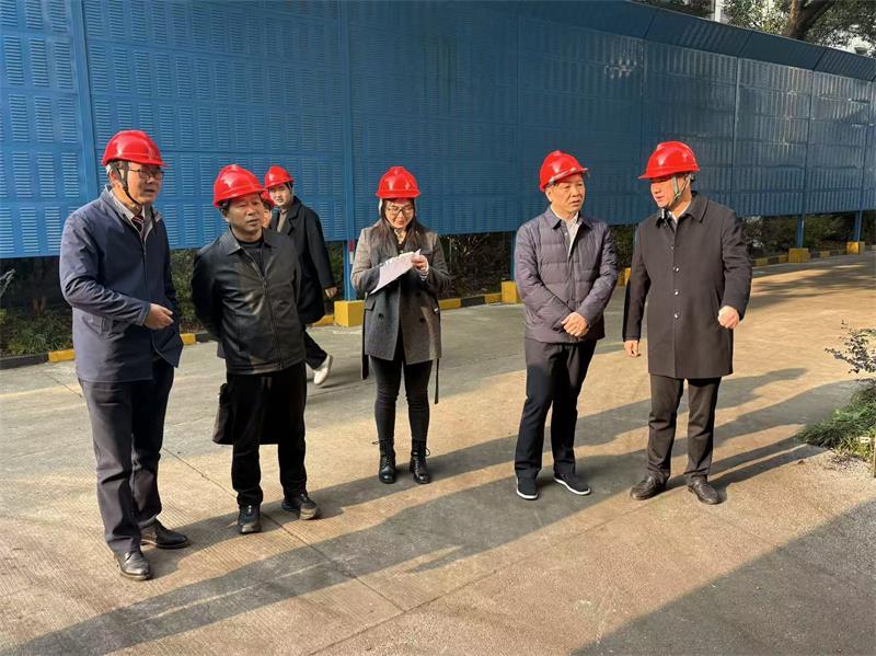 充分展现了扎实的专业功底和高超的操作