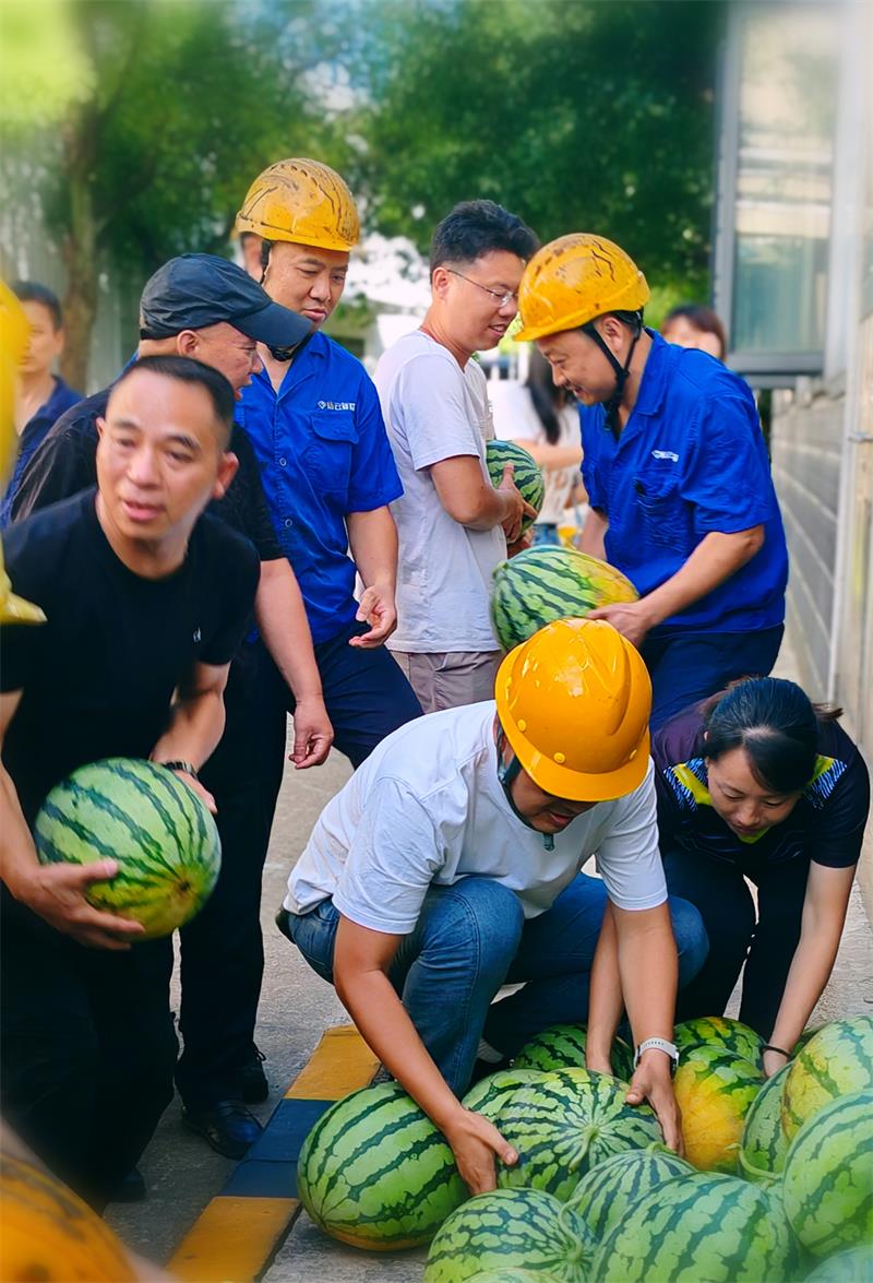 626969资料626969官方网站